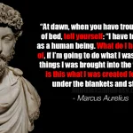 Marcus Aurelius's quote from meditations