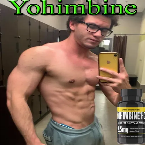Taking Yohimbine Supplements? MUST Read For THE BEST Results.