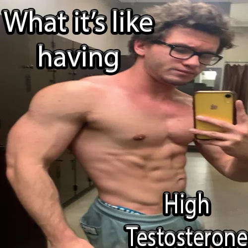 what its like having high testosterone
